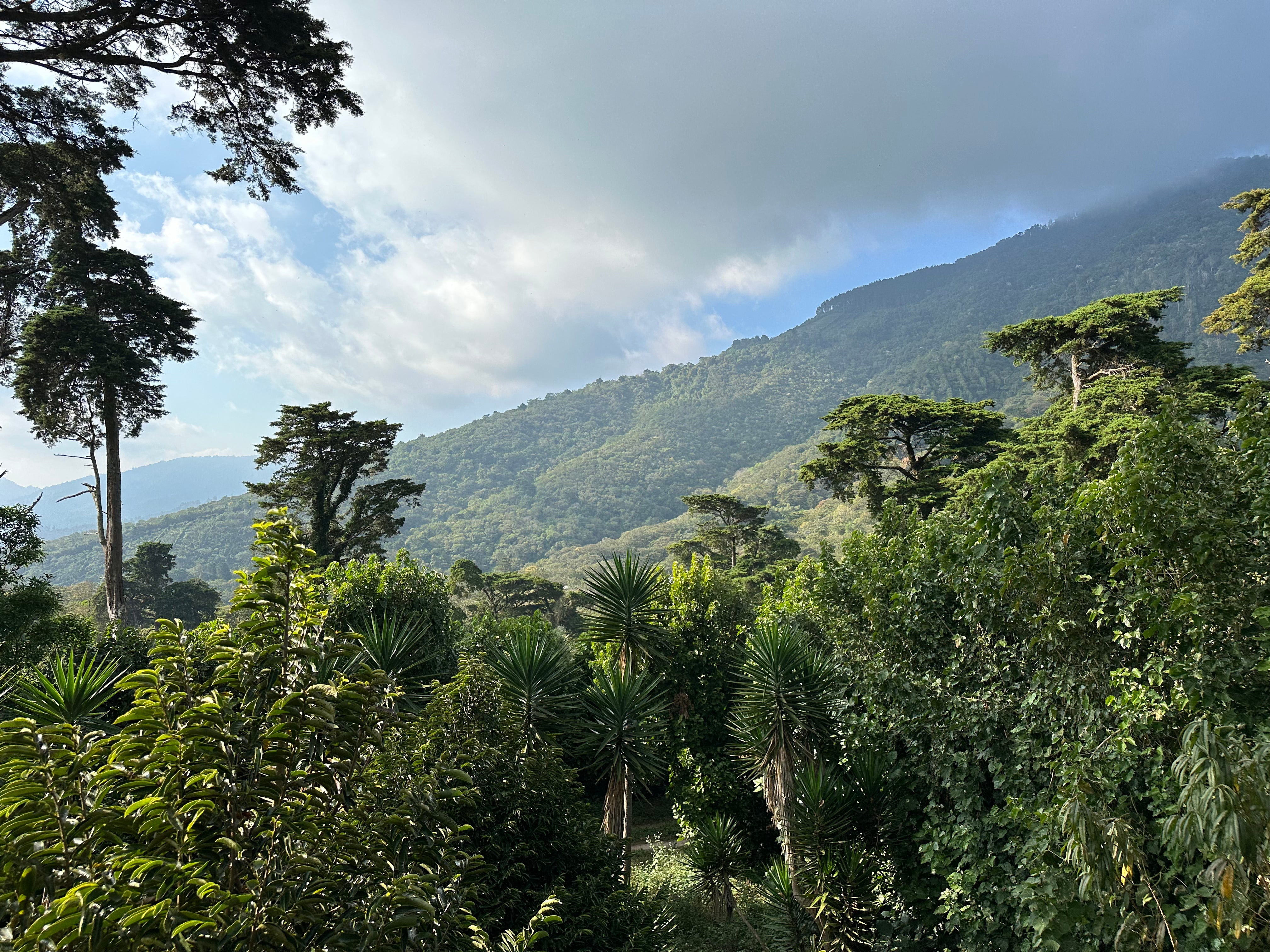 THE IMPRIO COLLECTION